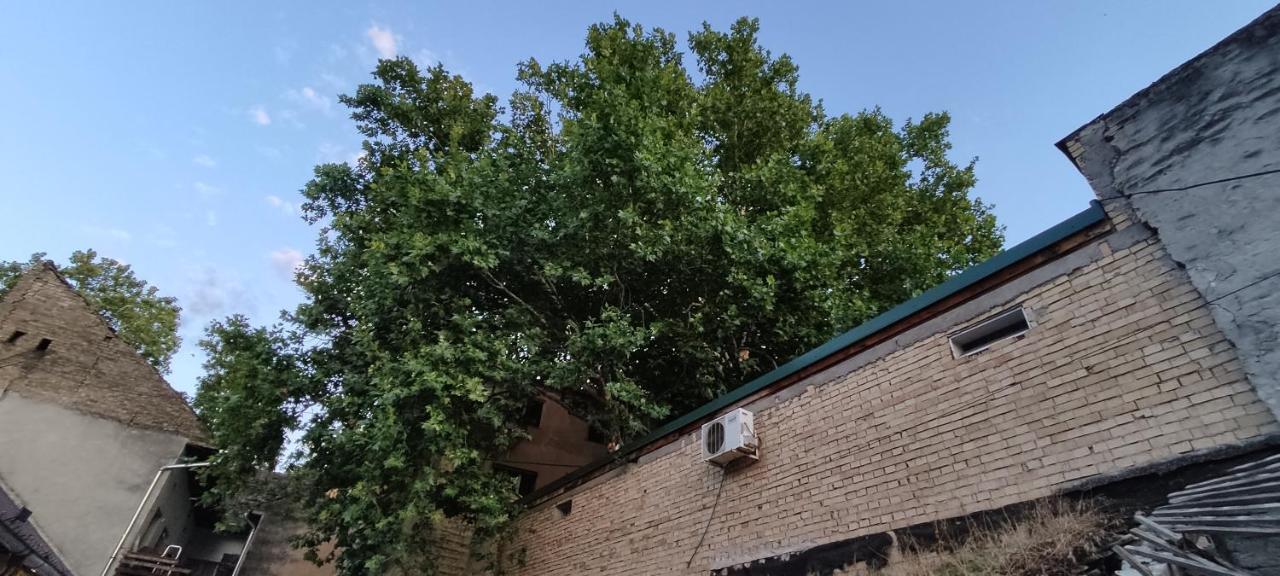 Apartmani Dld Ns Novi Sad Eksteriør billede