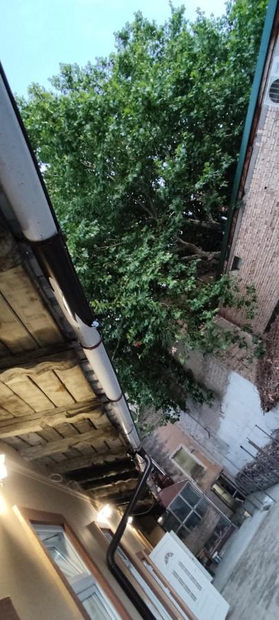 Apartmani Dld Ns Novi Sad Eksteriør billede